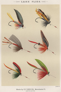 ANTIQUE PRINT OF FISHING FLIES FROM 1892